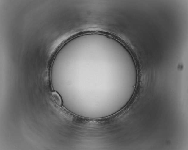 X0000111621167200907311156