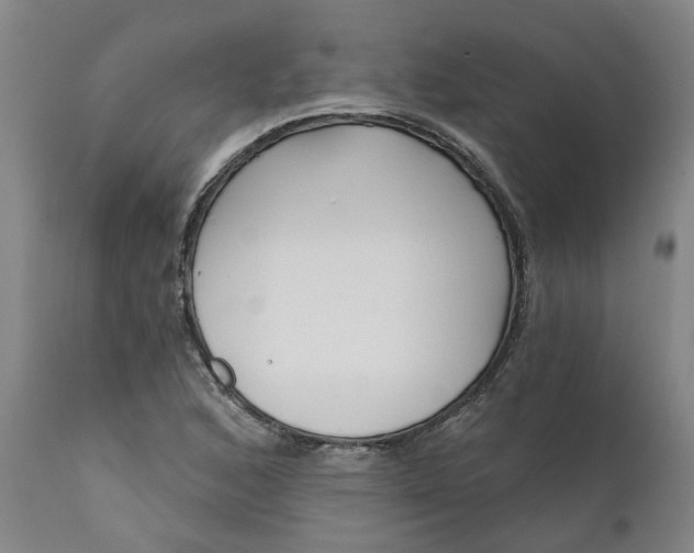X0000111621168200907311156