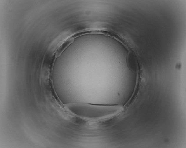 X0000111621169200907311156