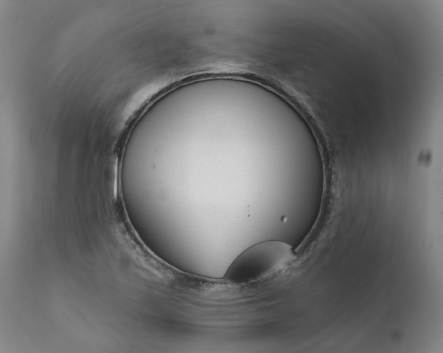 X0000111621171200907311156