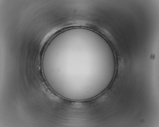 X0000111621172200907311156