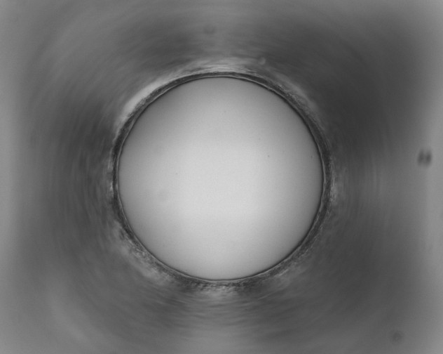 X0000111621174200907311156
