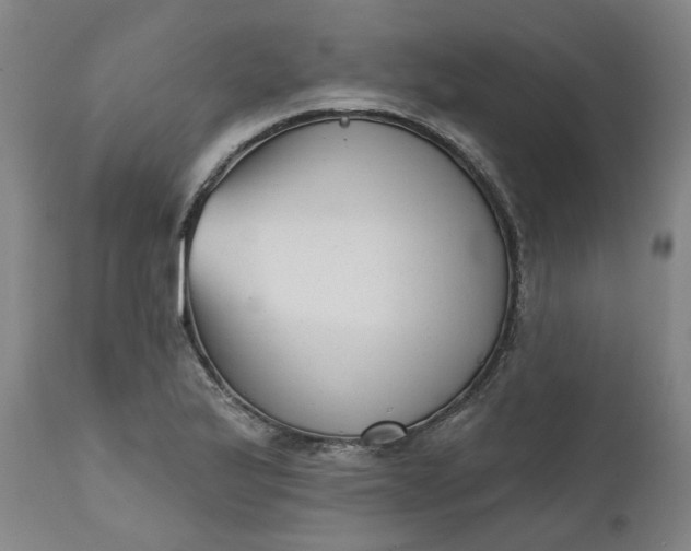 X0000111621175200907311156