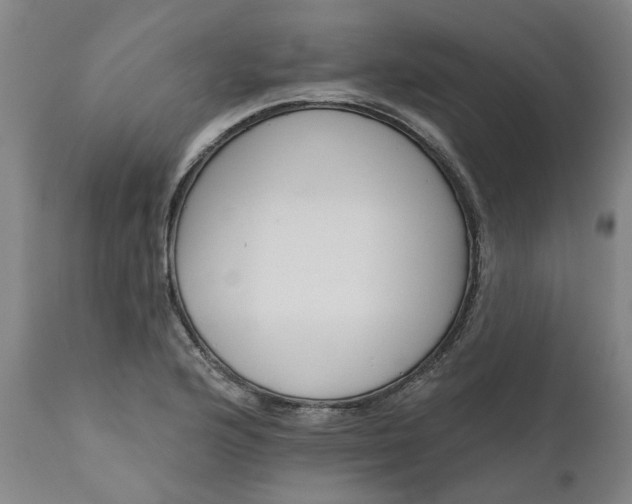 X0000111621176200907311156