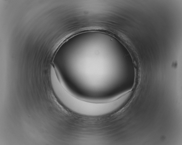 X0000111621177200907311156