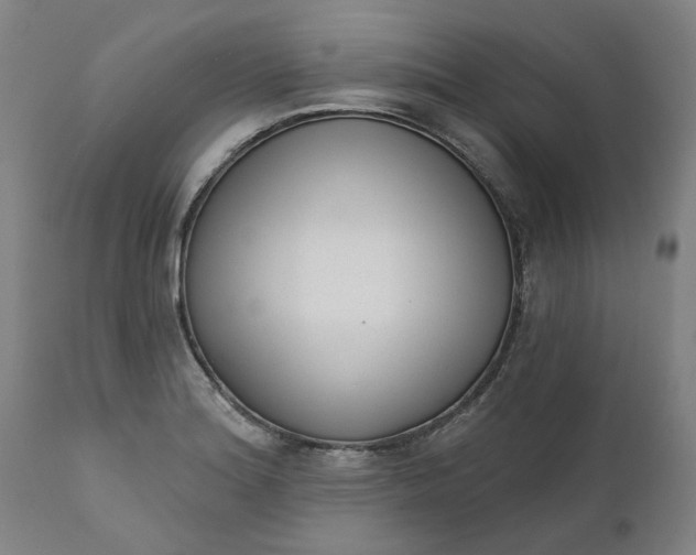 X0000111621180200907311156