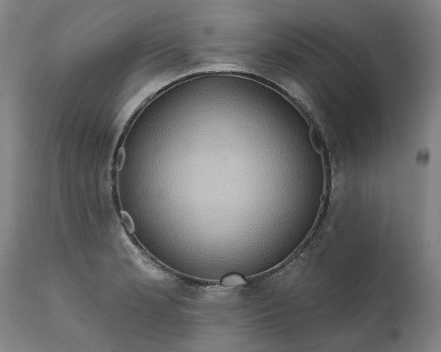 X0000111621181200907311156