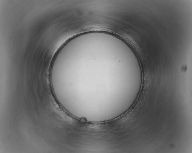 X0000111621182200907311156