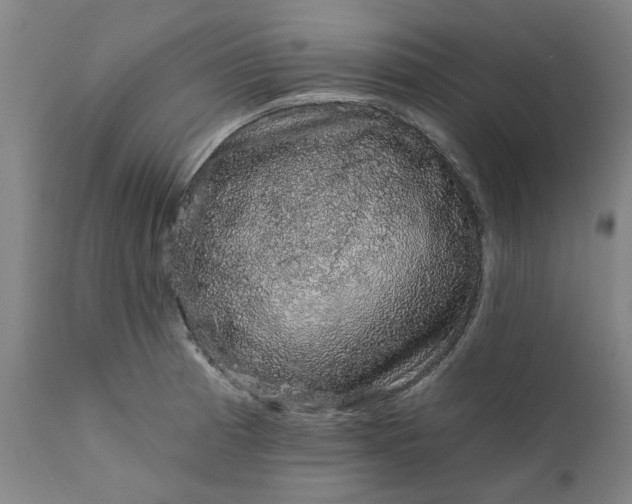 X0000111621185200907311156