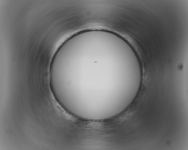 X0000111621191200907311155