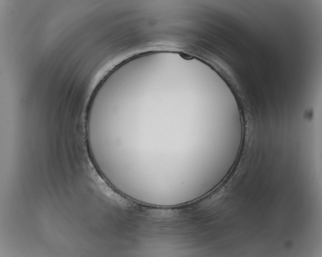 X0000111621192200907311155