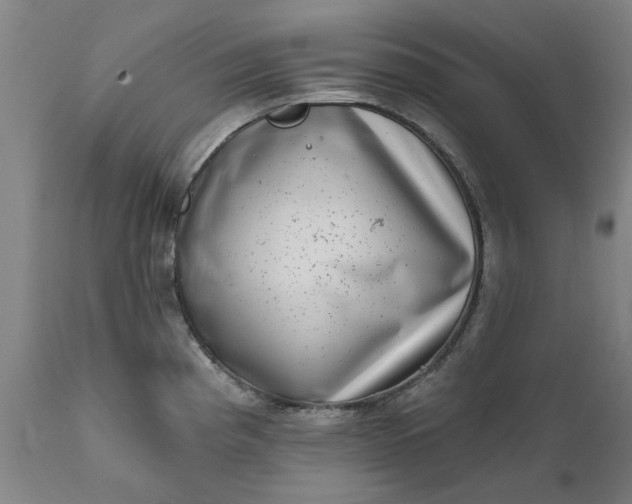 X0000111621193200907311155