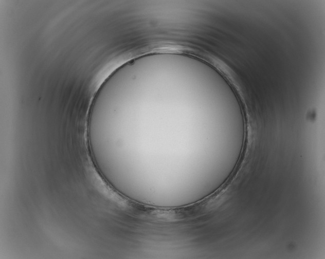 X0000111621194200907311155