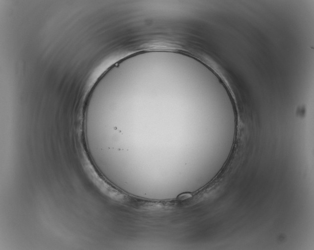 X0000111621195200907311155