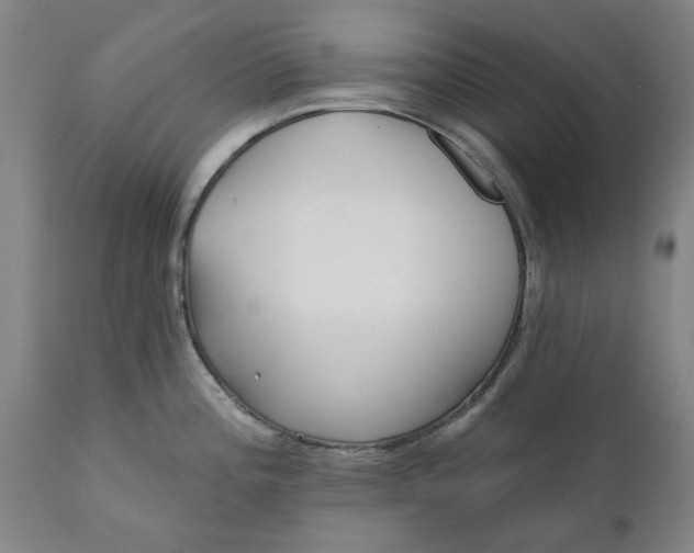 X0000111621196200907311155
