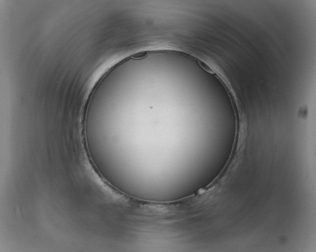 X0000111621197200907311155