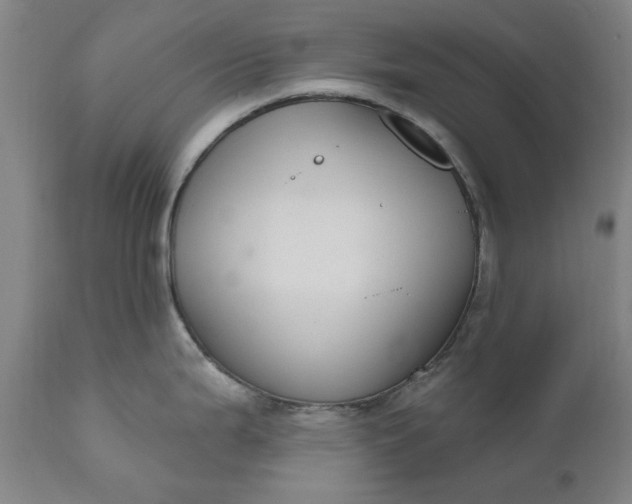 X0000111621199200907311155