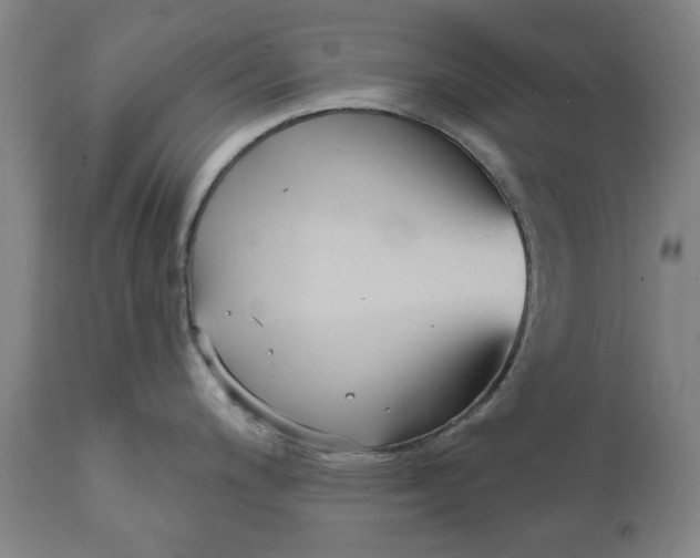 X0000111621200200907311155