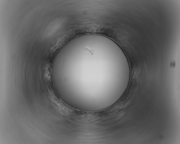 X0000111621202200907311155