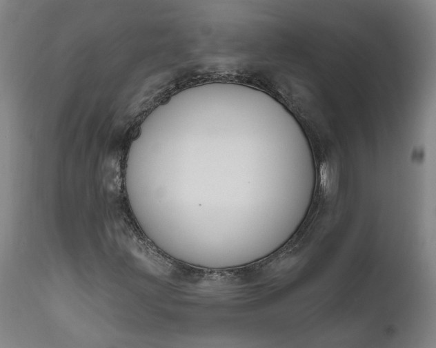 X0000111621203200907311155