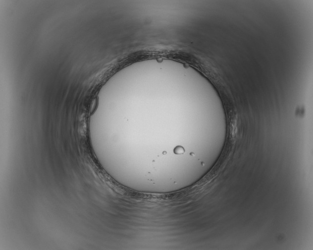 X0000111621204200907311155