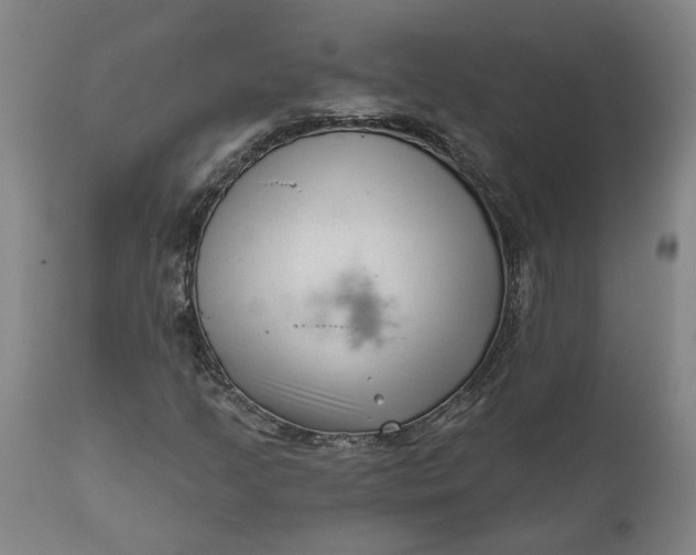 X0000111621205200907311155