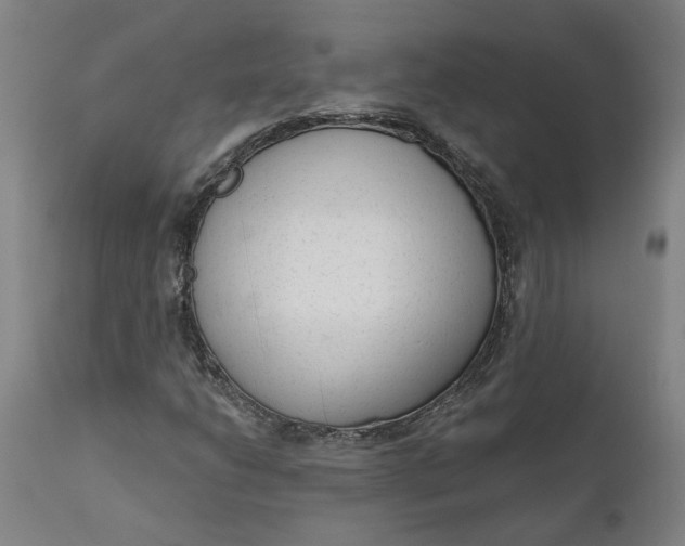X0000111621206200907311155