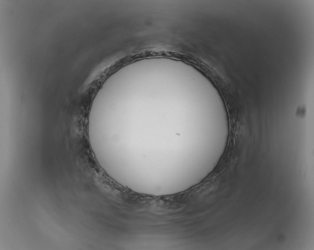 X0000111621207200907311155