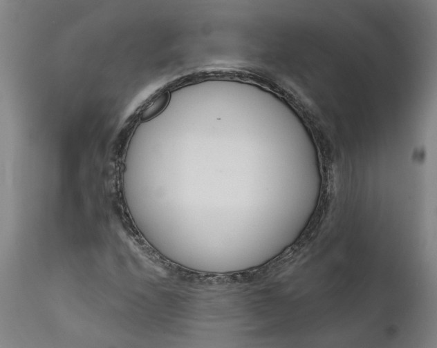 X0000111621208200907311155