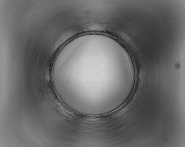 X0000111621209200907311155