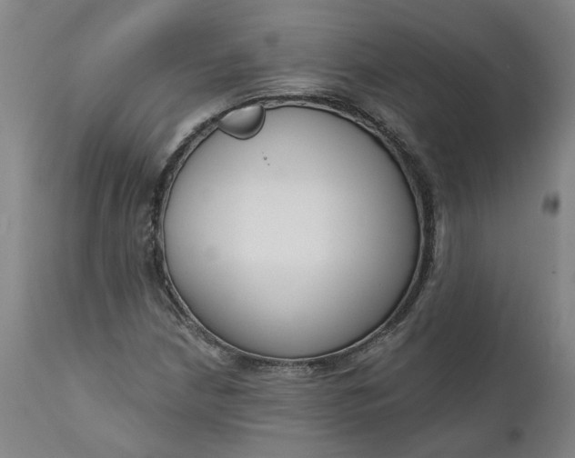 X0000111621210200907311155