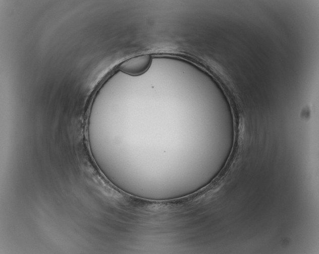 X0000111621212200907311155