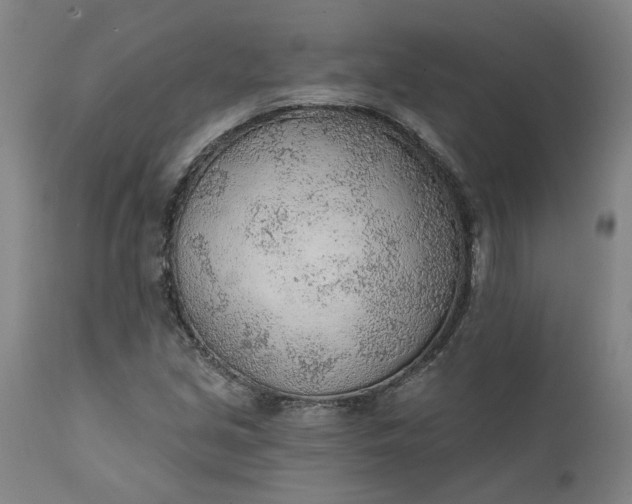 X0000111621213200907311155