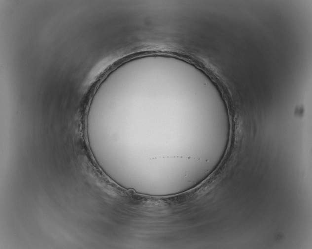 X0000111621215200907311155