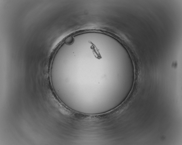 X0000111621216200907311155