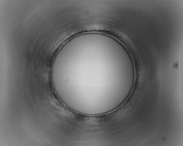 X0000111621217200907311155