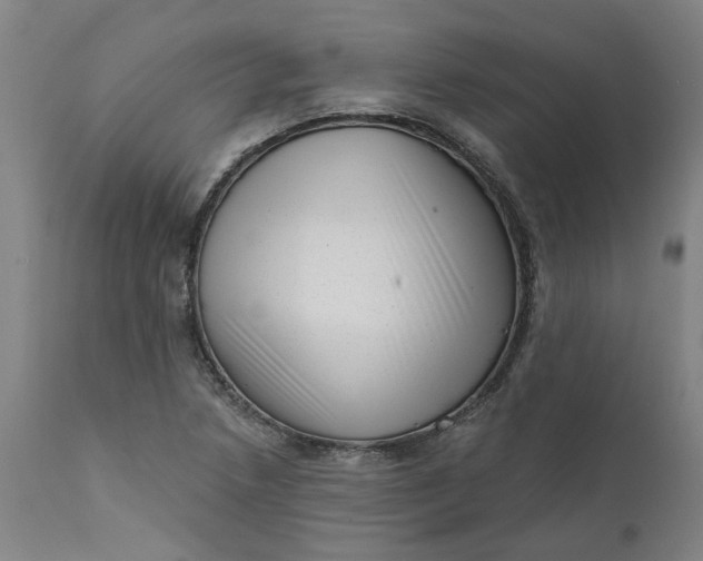 X0000111621218200907311155