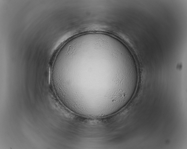X0000111621219200907311155