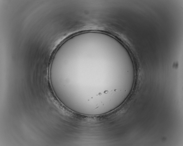 X0000111621220200907311155