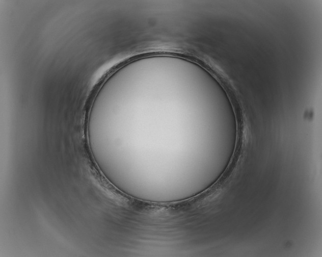 X0000111621222200907311155