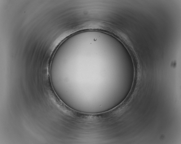 X0000111621226200907311155