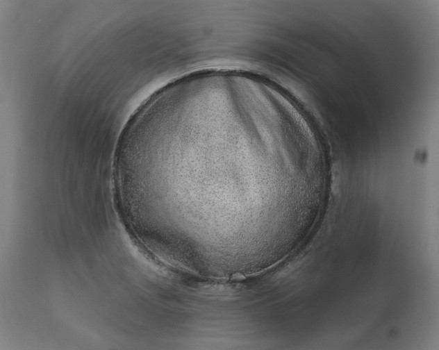 X0000111621229200907311155