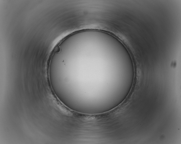 X0000111621230200907311155