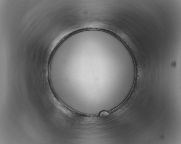 X0000111621232200907311155