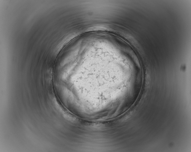 X0000111621233200907311155