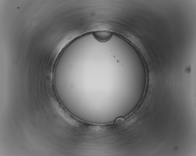 X0000111621234200907311155