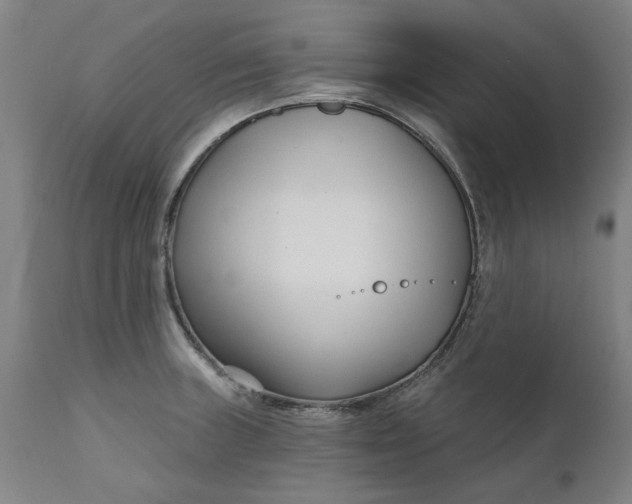 X0000111621235200907311155