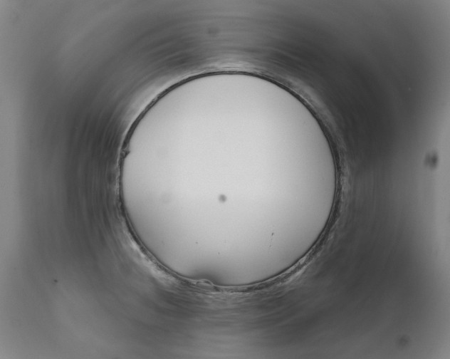 X0000111621236200907311155