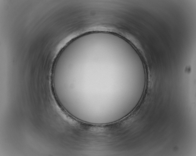 X0000111621237200907311155