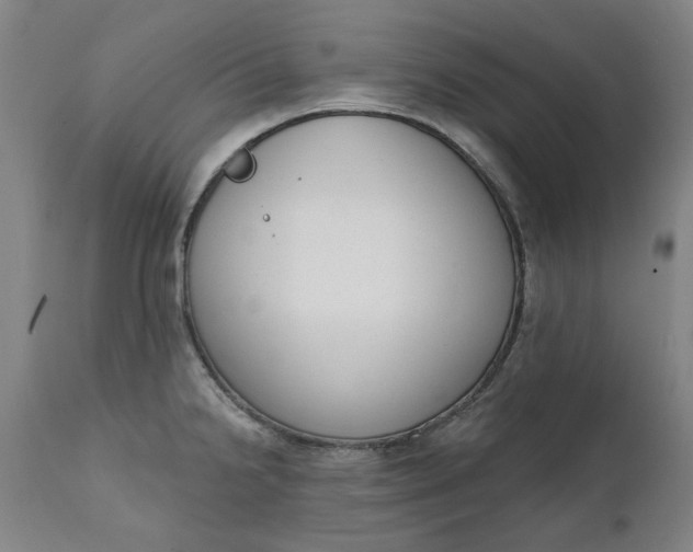 X0000111621238200907311155